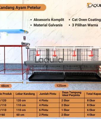 Kandang Galvanis Ayam Petelur 4 6 Pintu Full Aksesoris 1 Tingkat